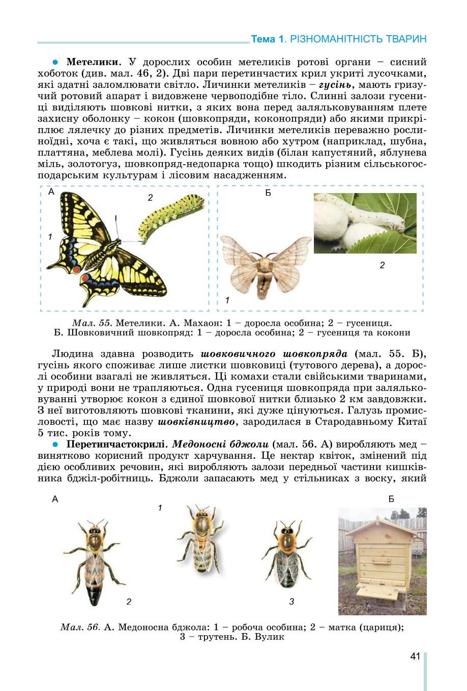 Мініатюра 41