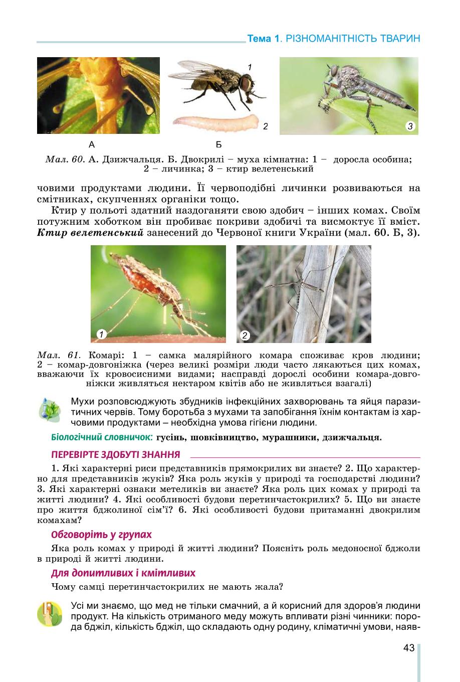 Мініатюра 43