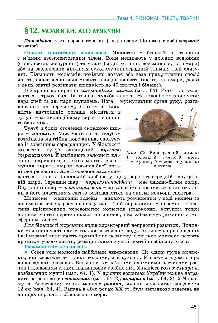 Мініатюра 45