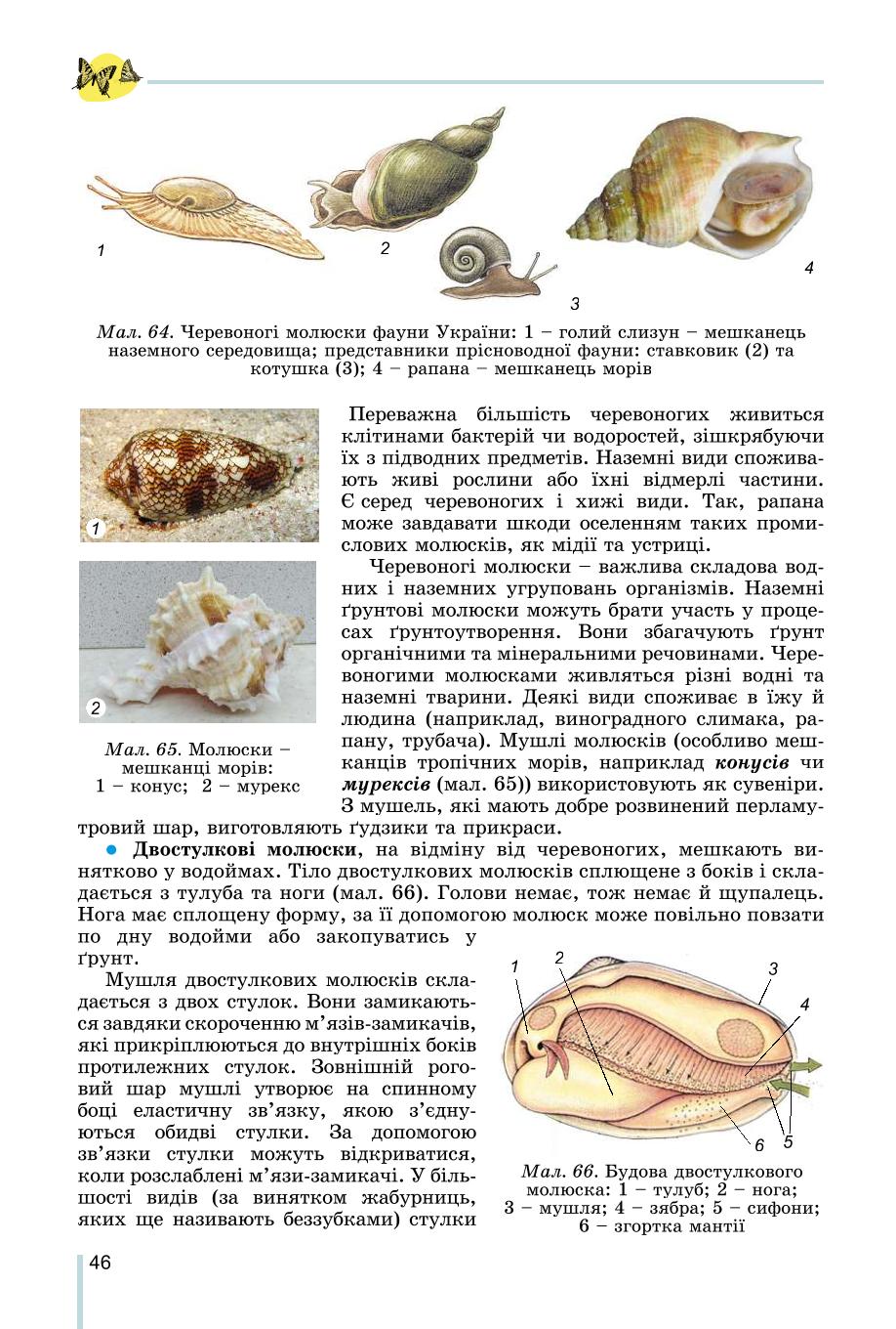 Мініатюра 46