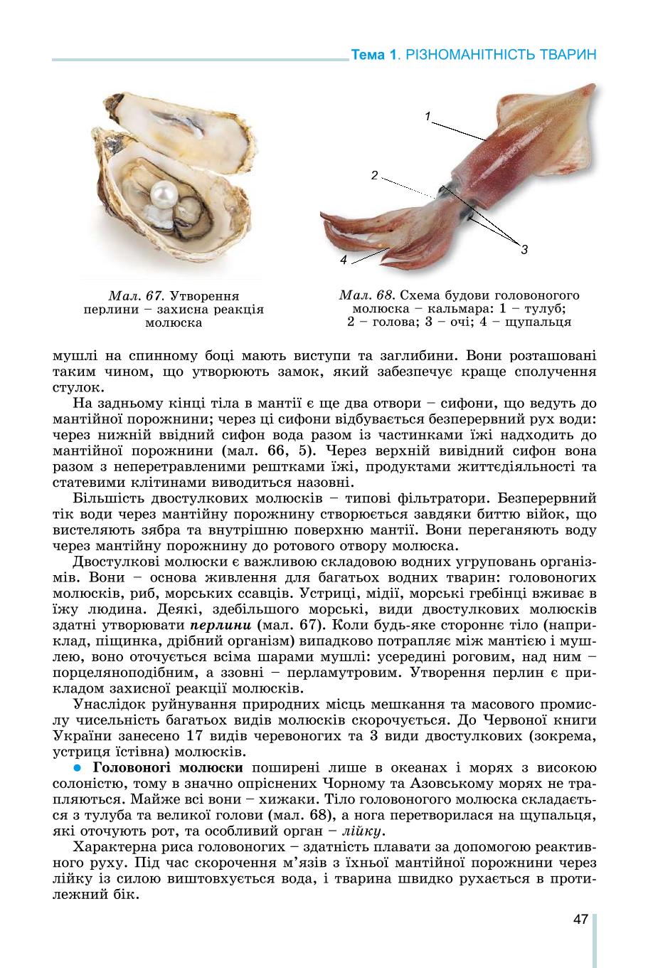 Мініатюра 47