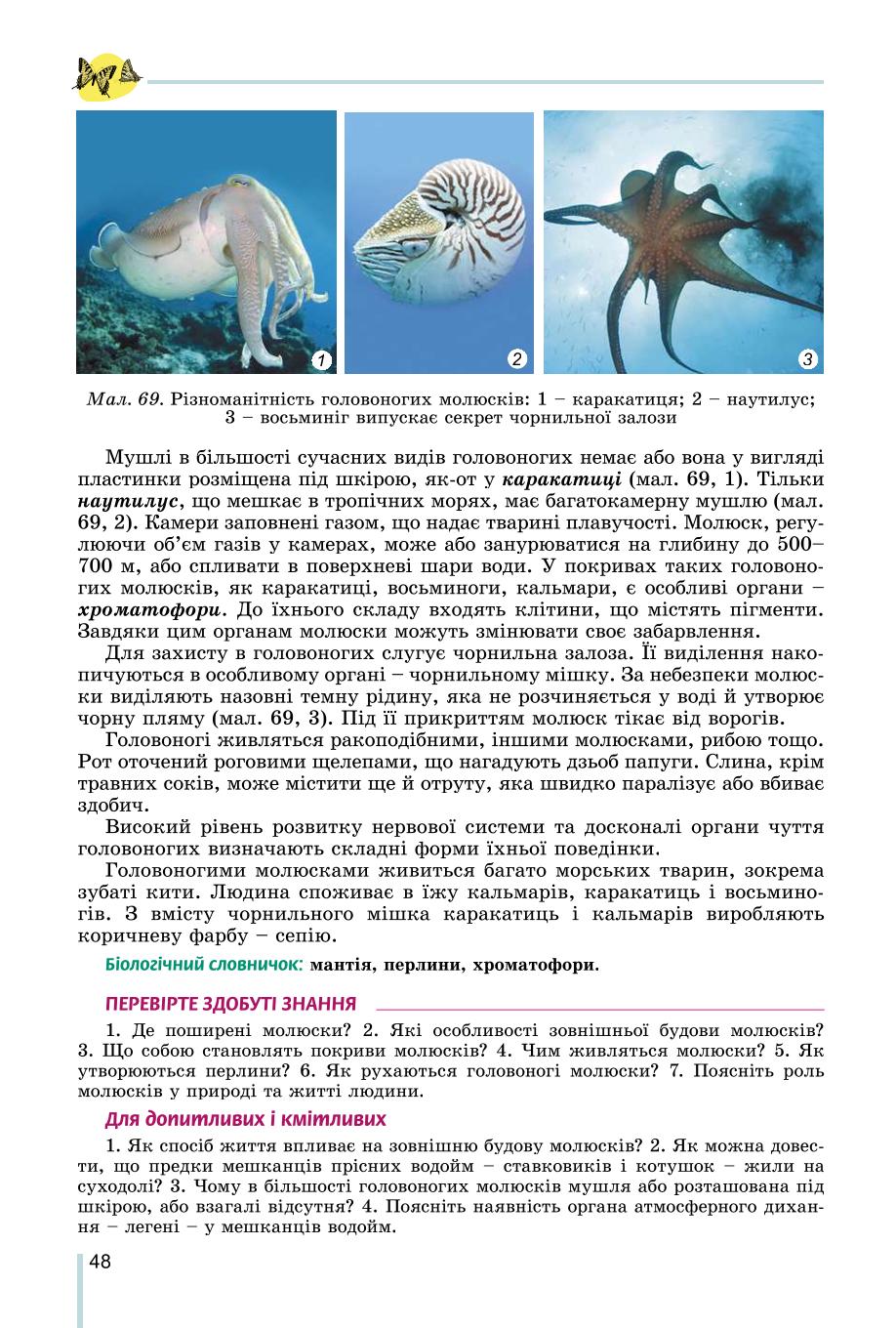Мініатюра 48