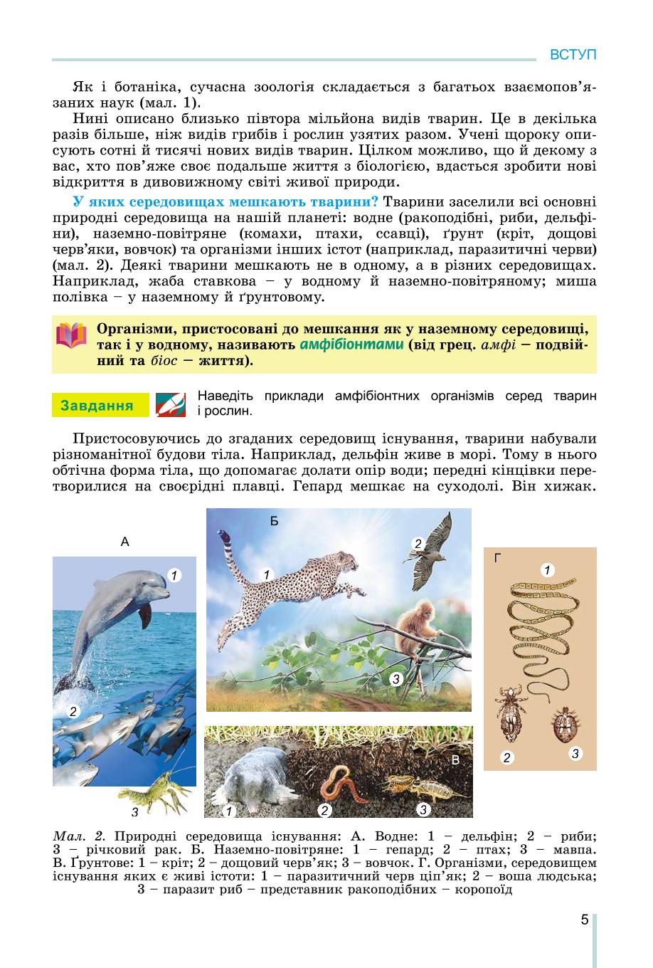 Мініатюра 5