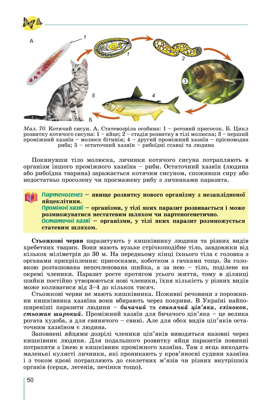 Мініатюра 50