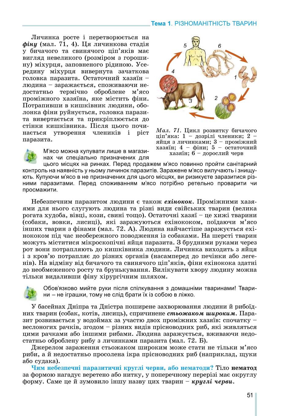 Мініатюра 51