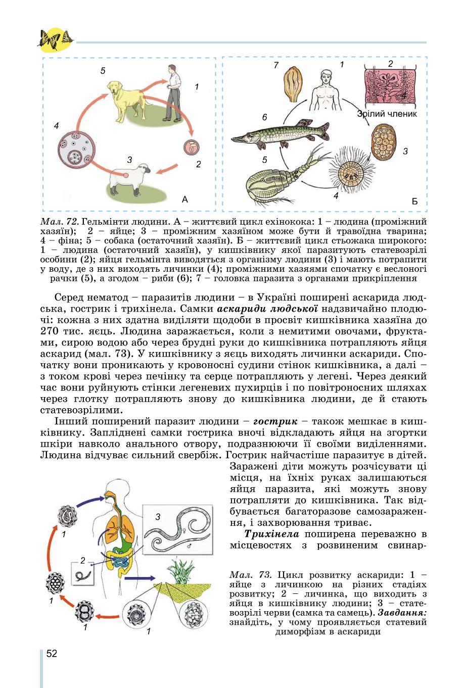 Мініатюра 52