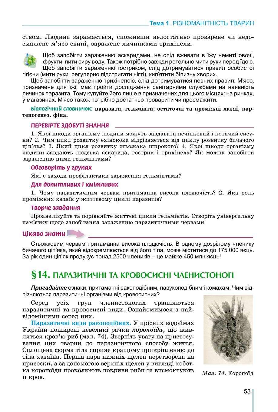 Мініатюра 53