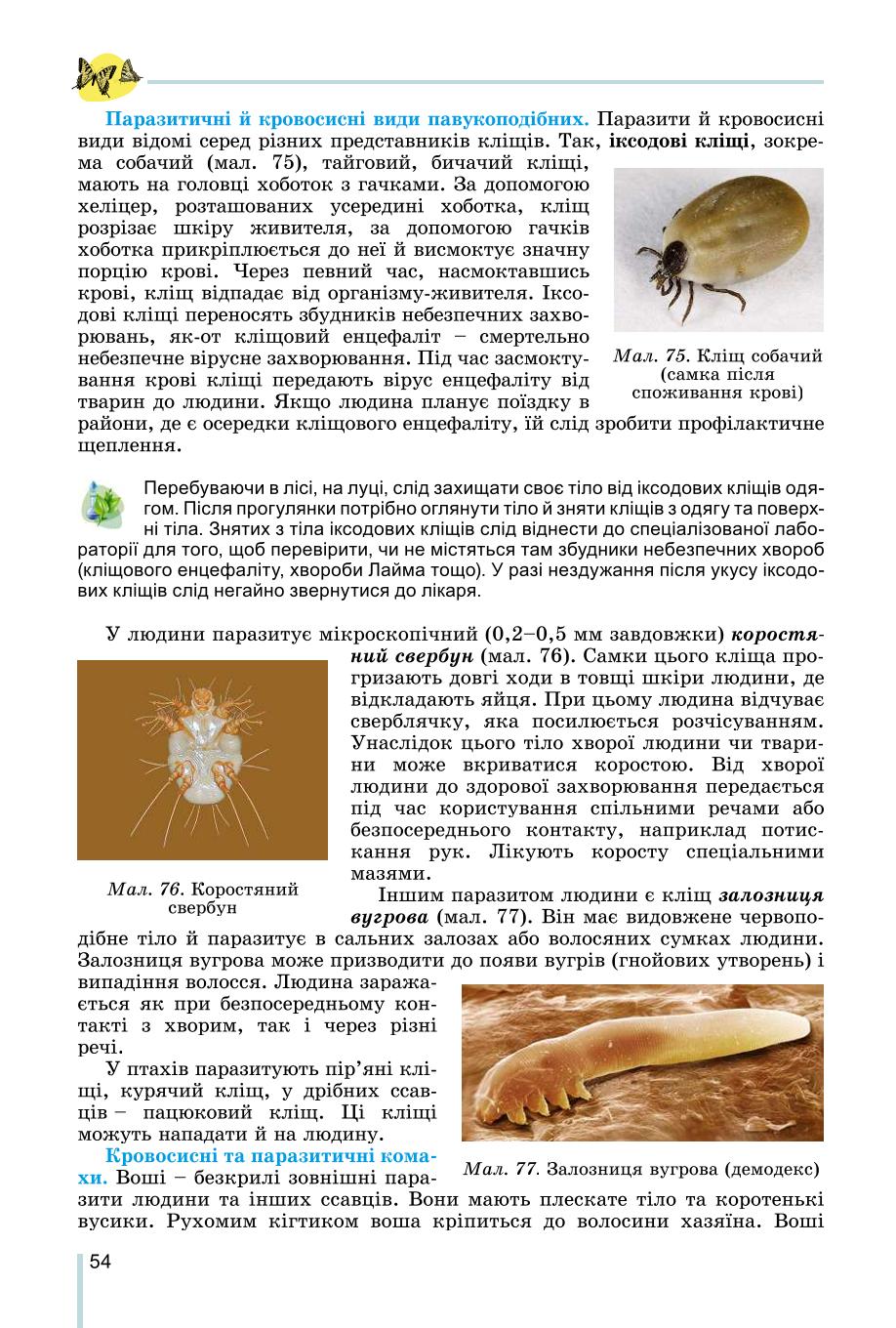 Мініатюра 54