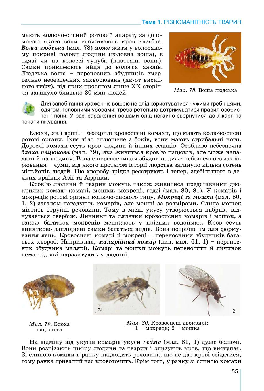 Мініатюра 55