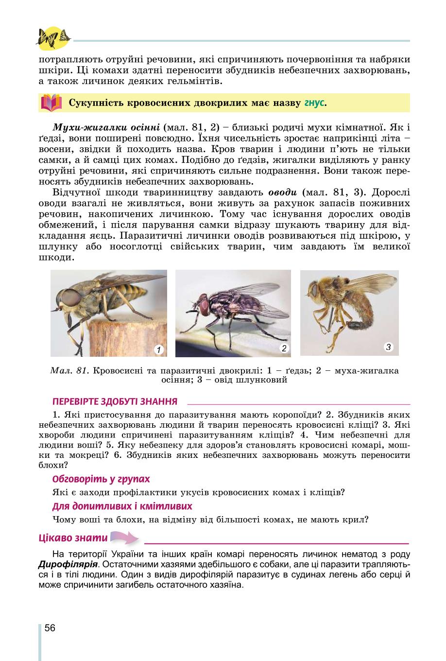 Мініатюра 56