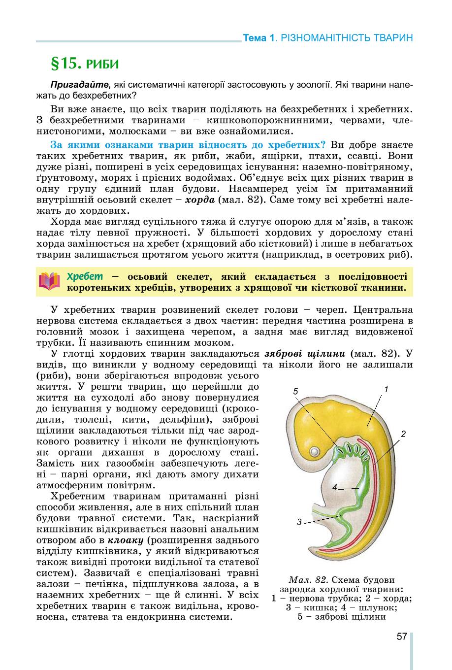 Мініатюра 57