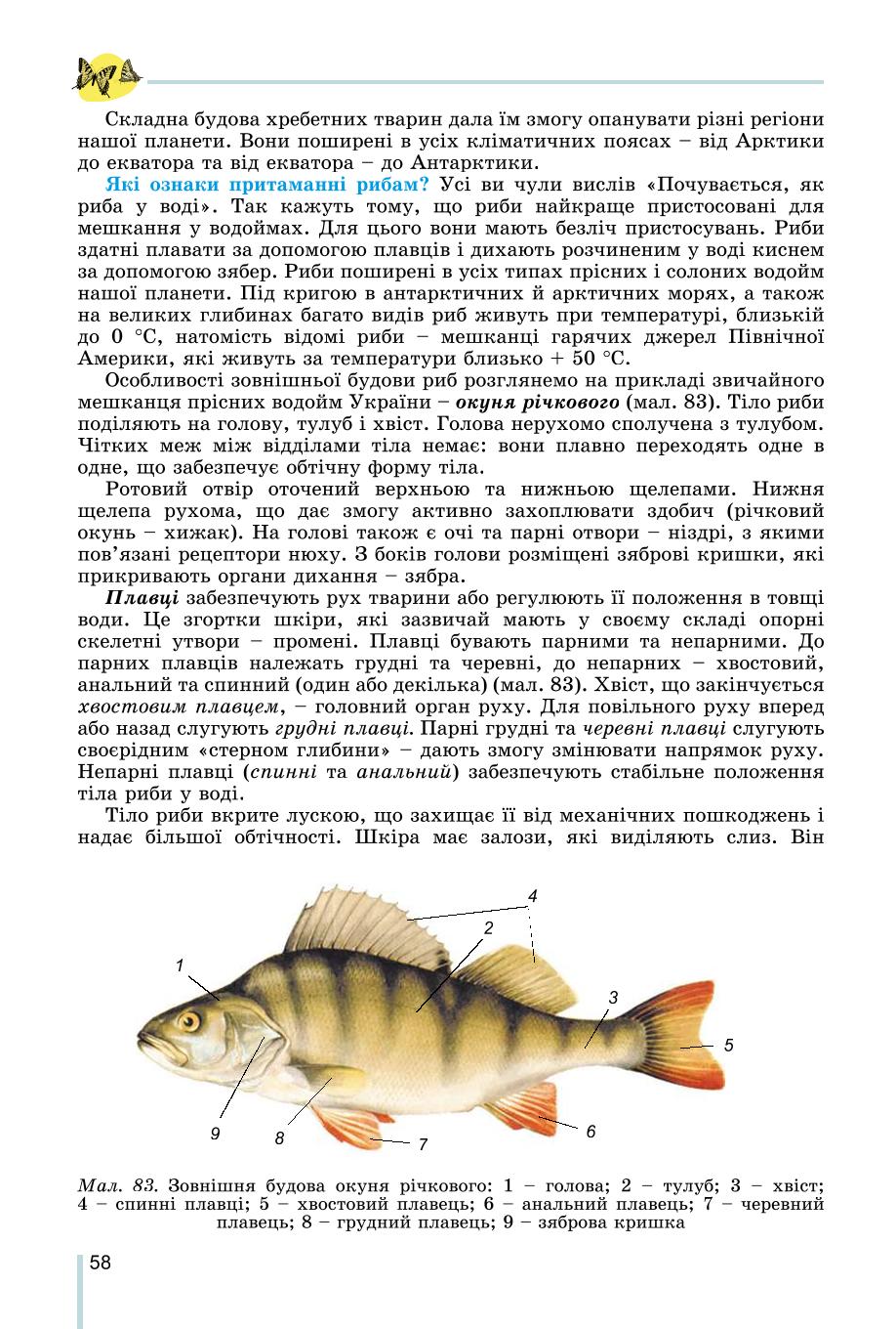 Мініатюра 58