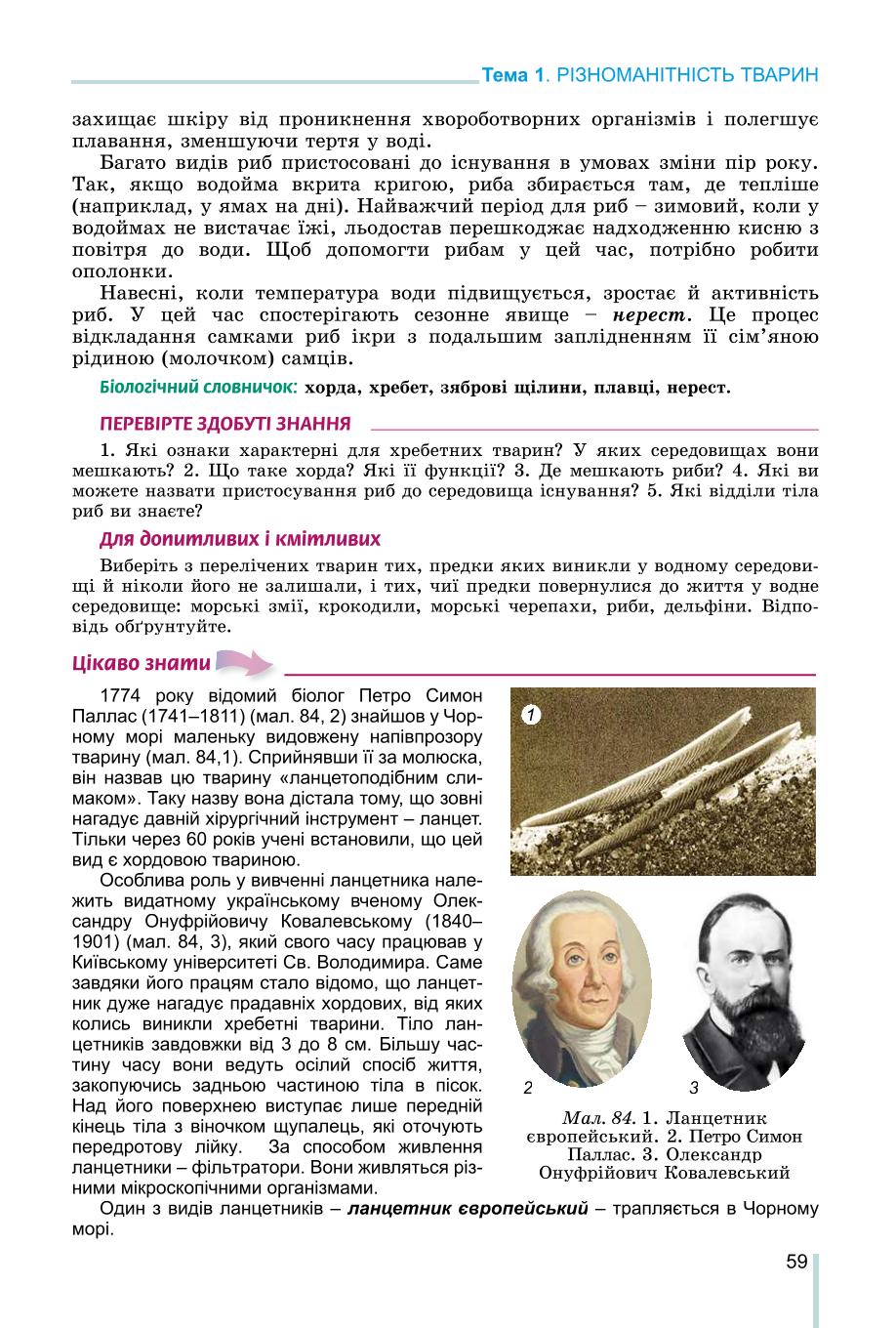 Мініатюра 59