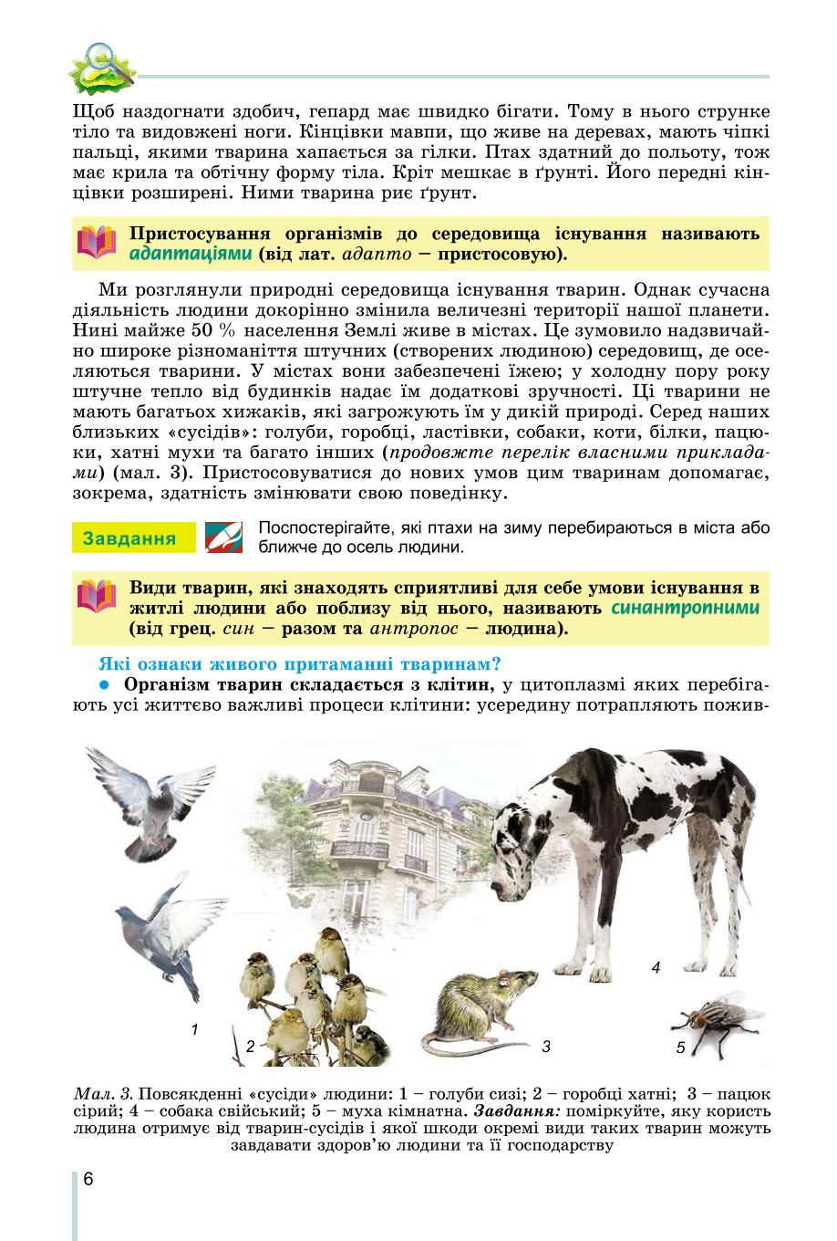 Мініатюра 6