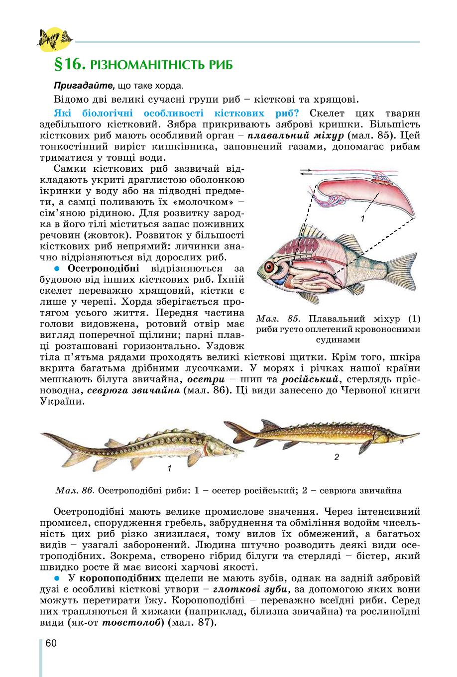 Мініатюра 60