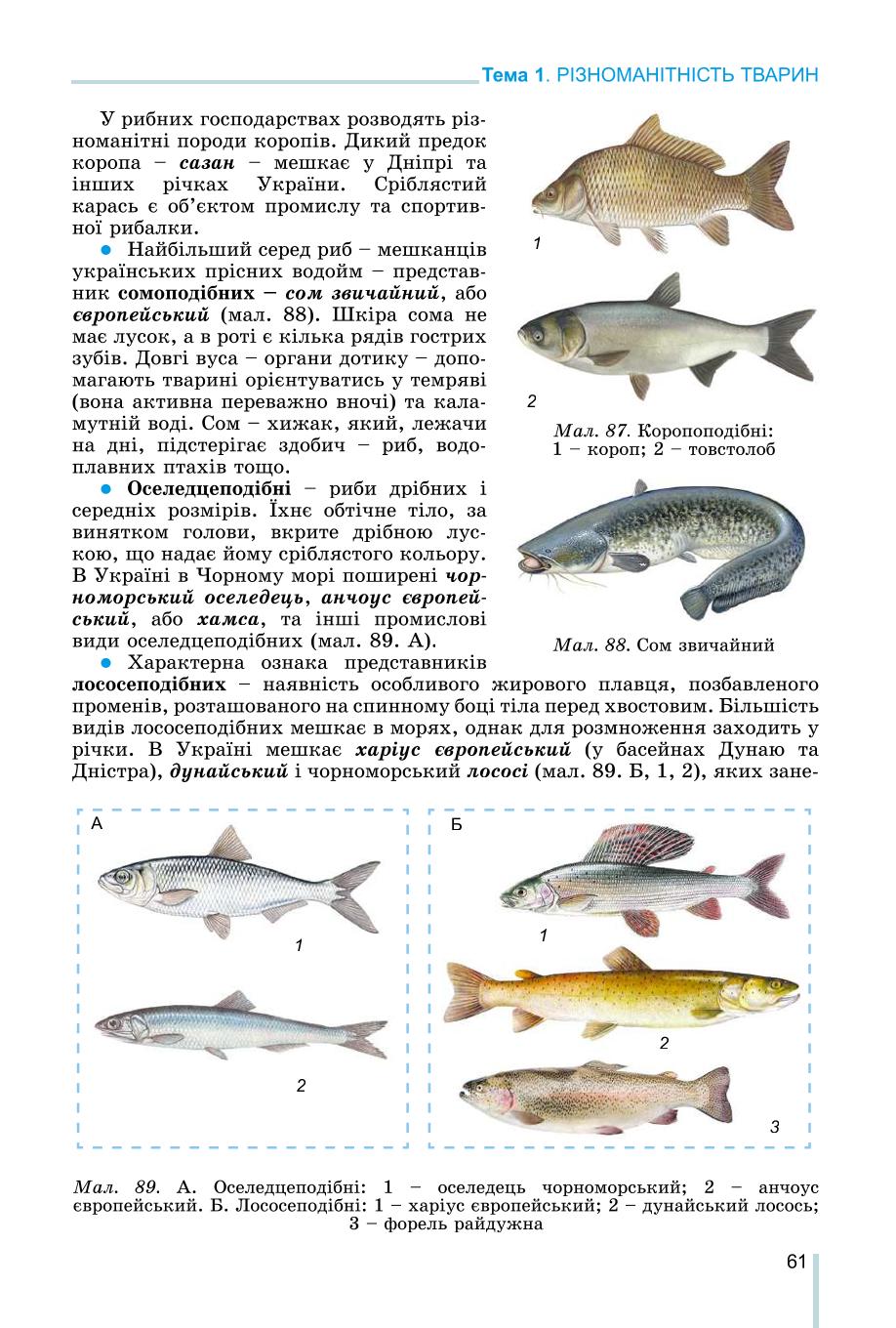 Мініатюра 61