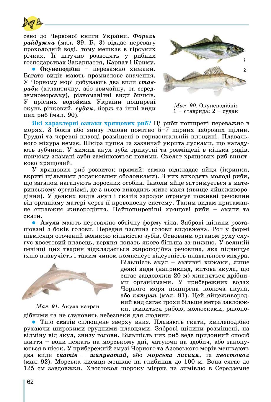 Мініатюра 62
