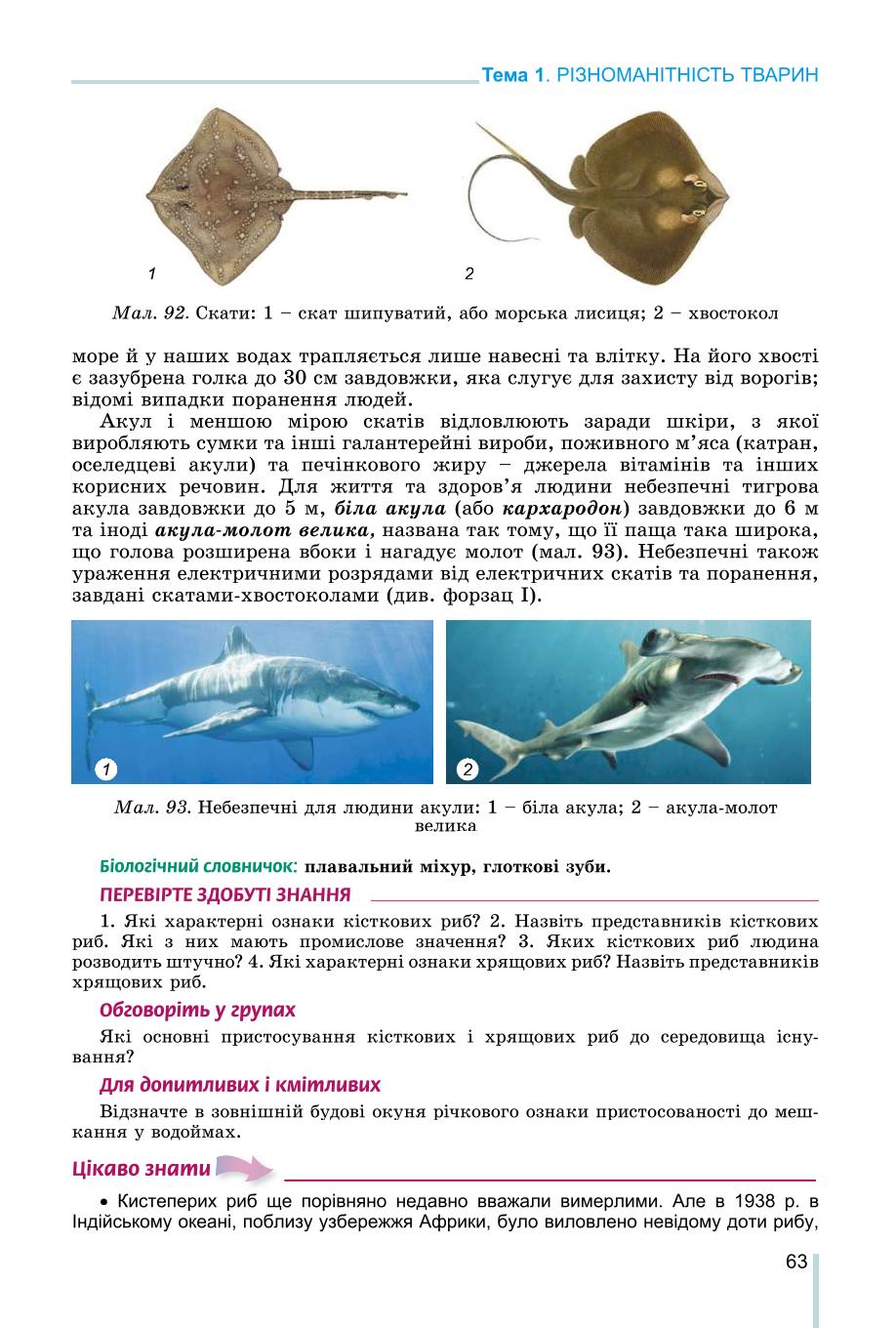 Мініатюра 63