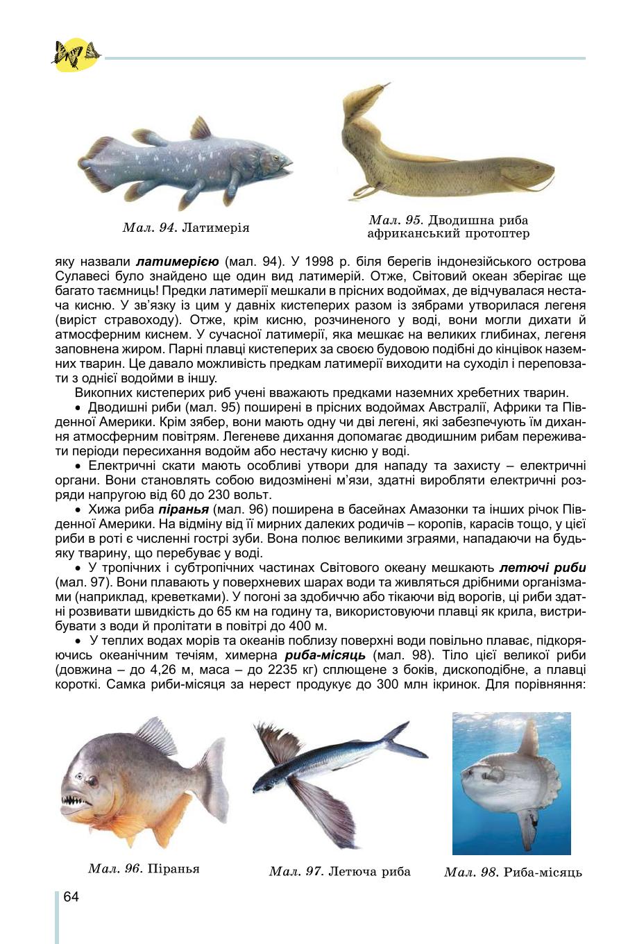 Мініатюра 64