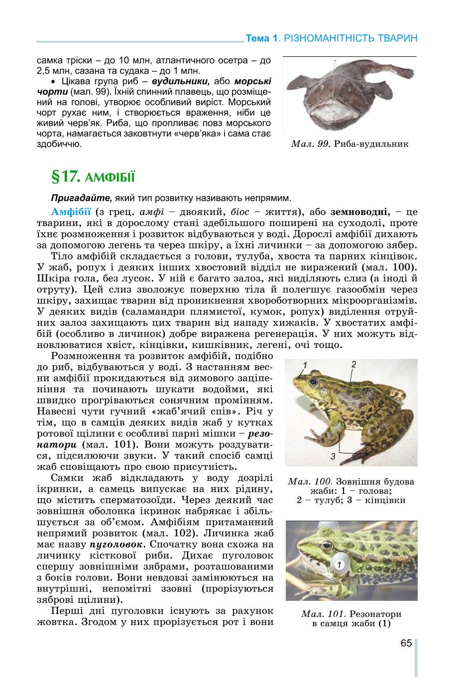 Мініатюра 65