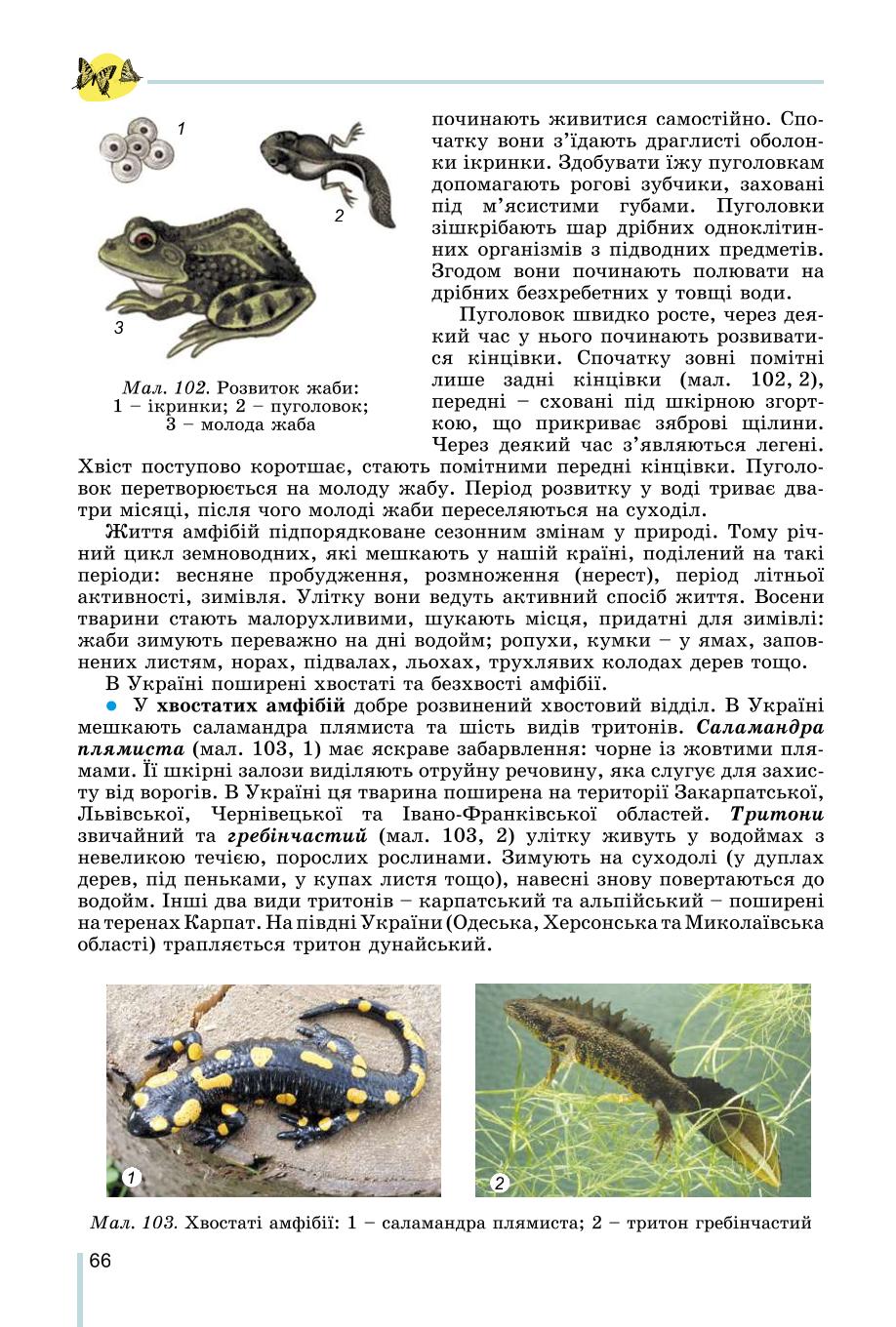 Мініатюра 66