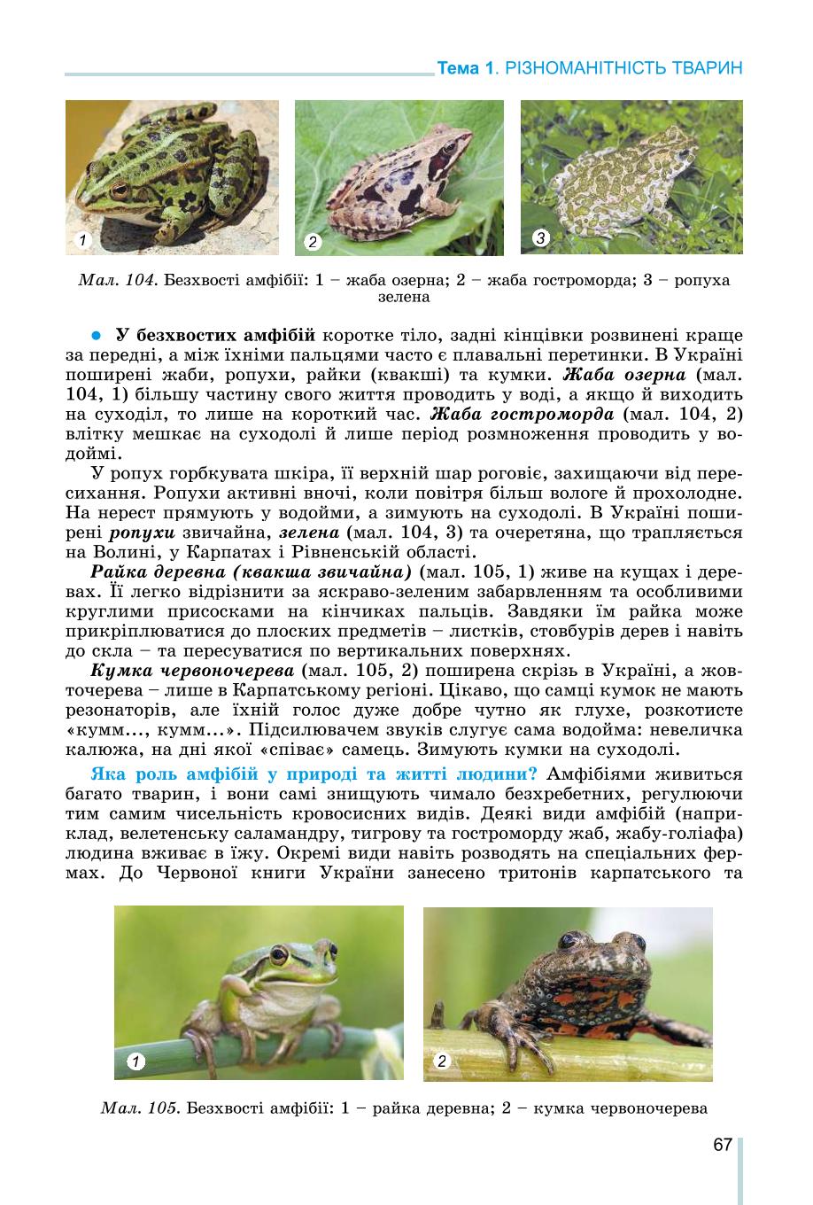 Мініатюра 67