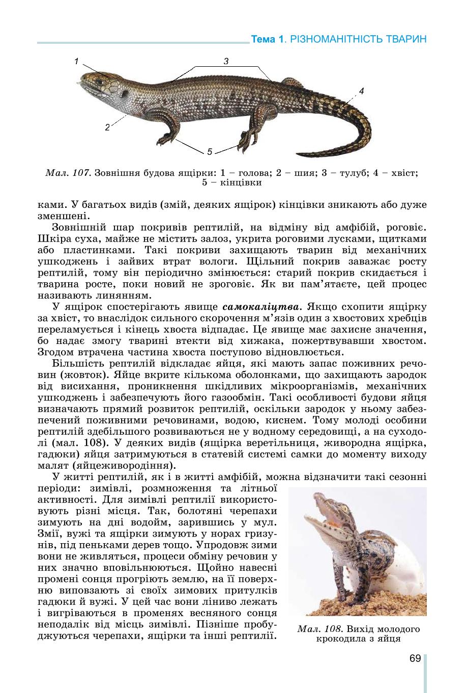 Мініатюра 69