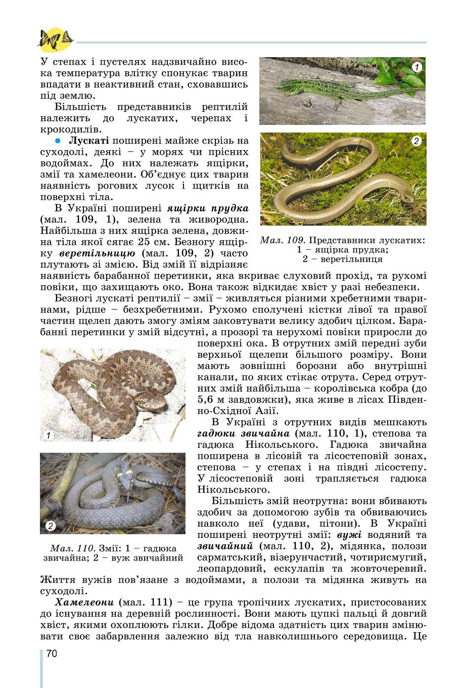 Мініатюра 70