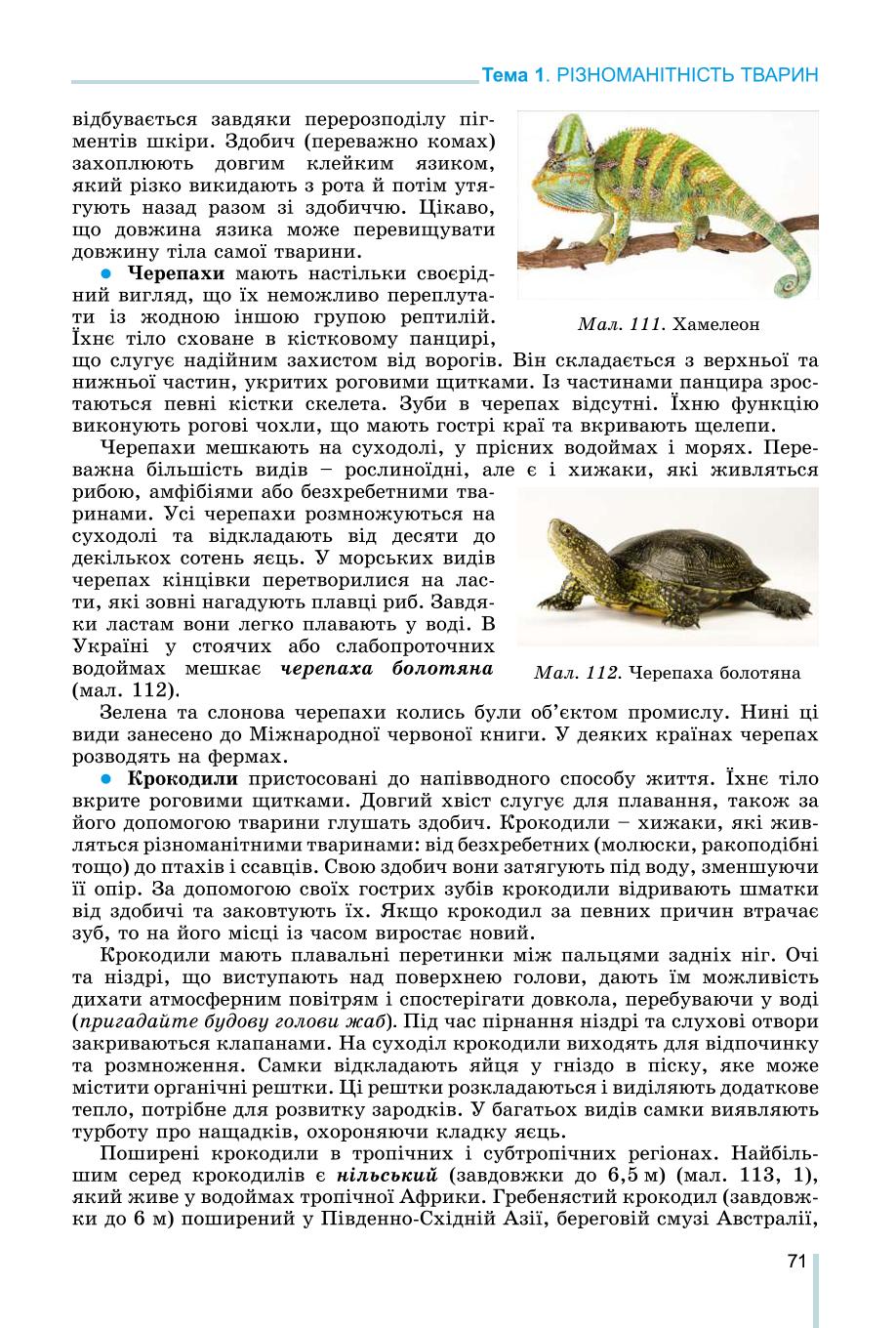 Мініатюра 71