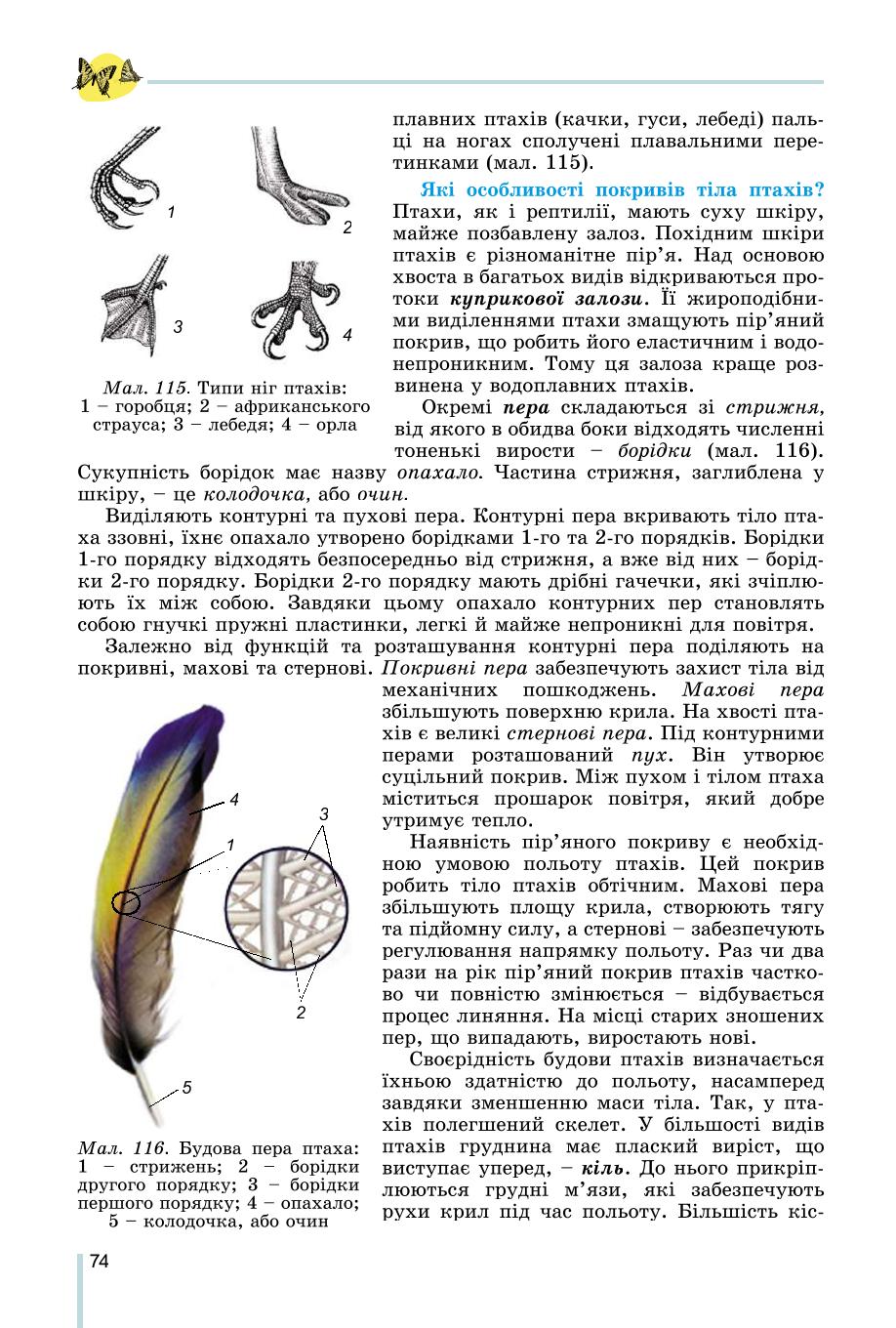 Мініатюра 74