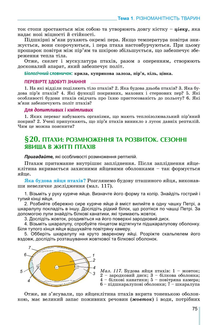 Мініатюра 75
