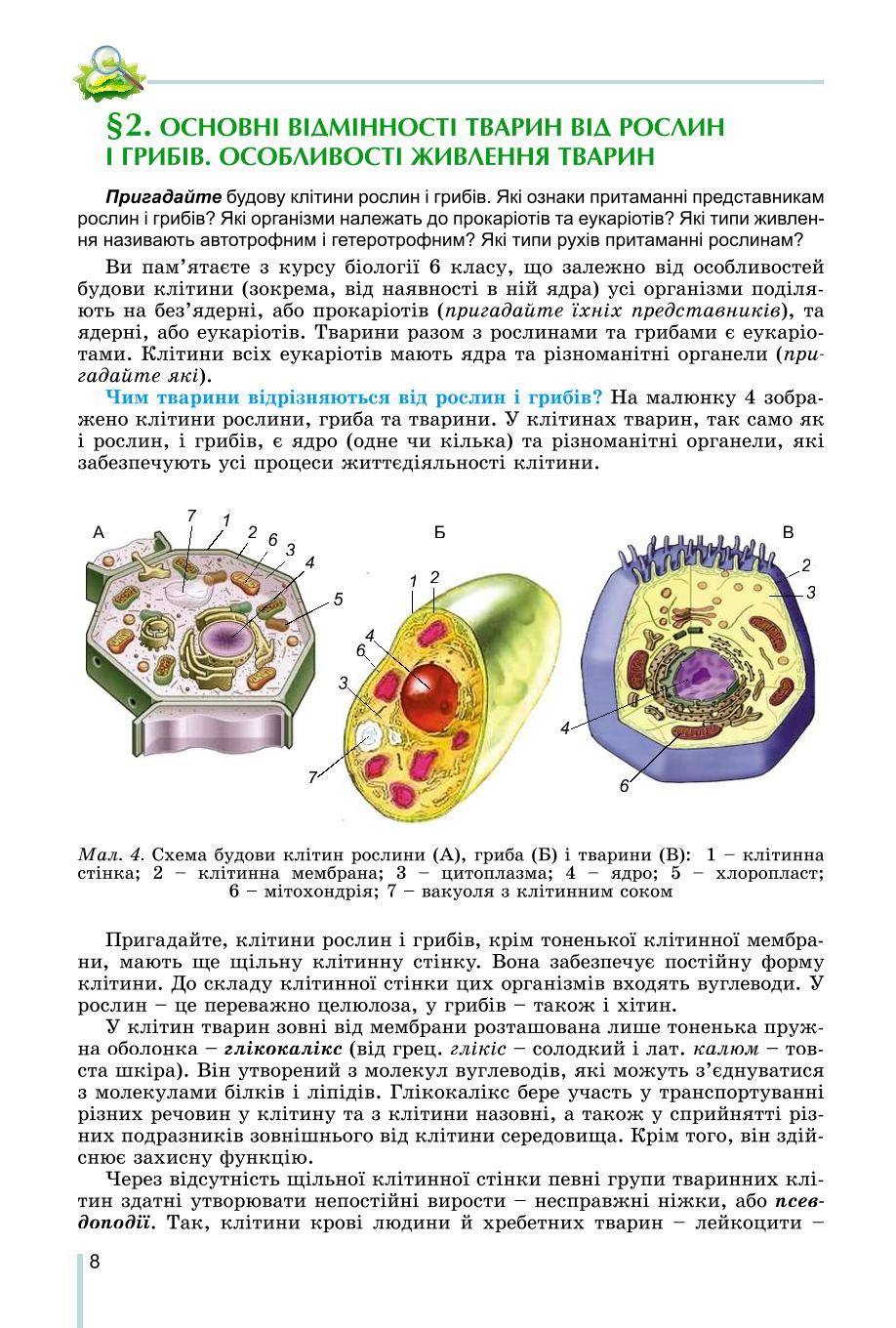 Мініатюра 8