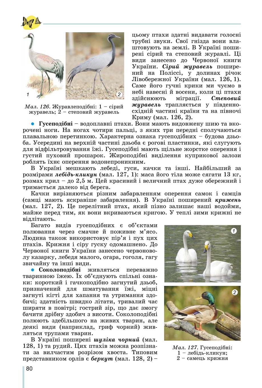 Мініатюра 80