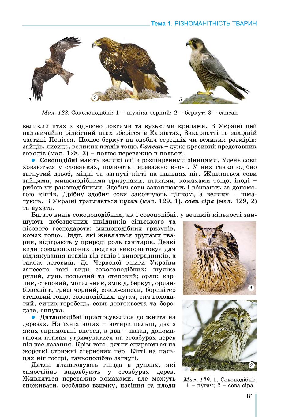 Мініатюра 81