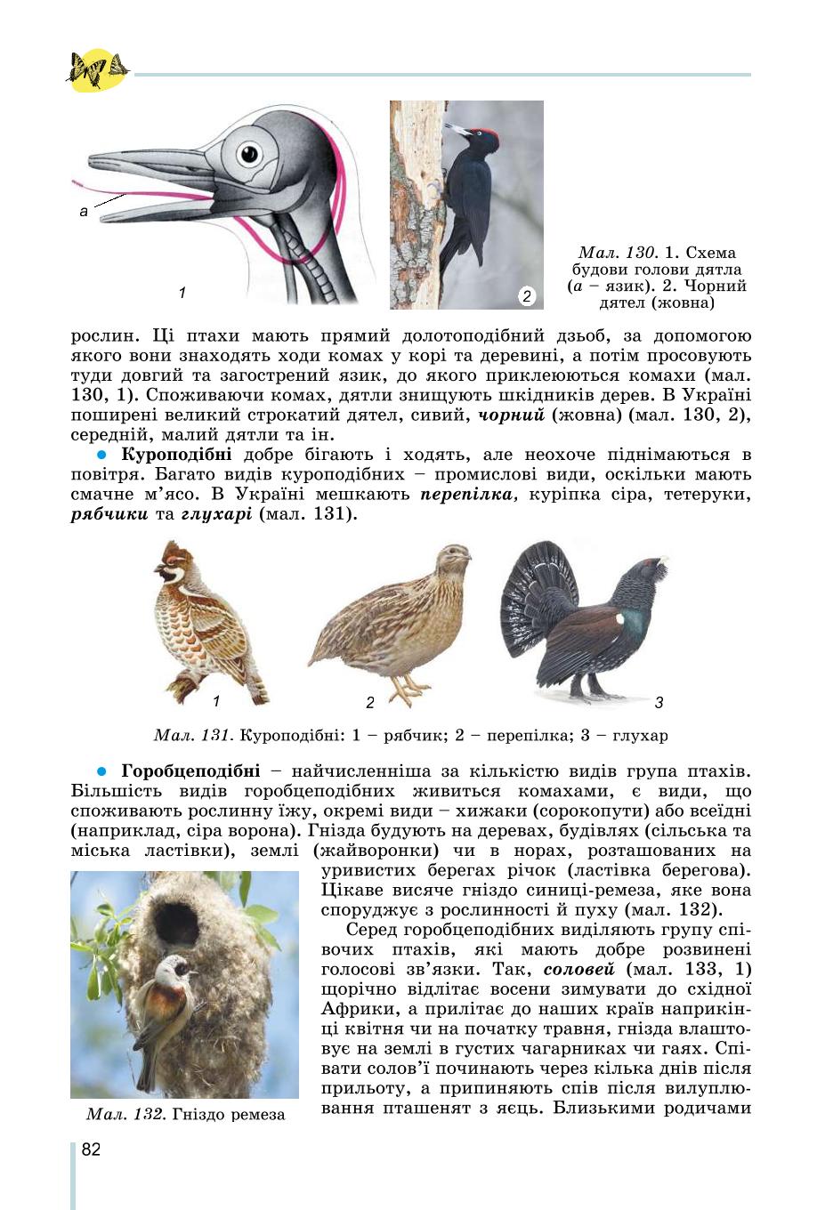 Мініатюра 82