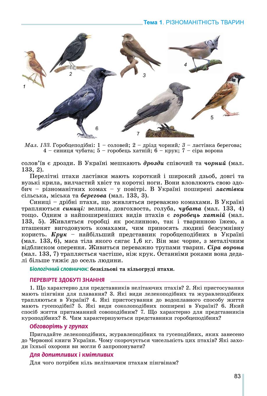 Мініатюра 83