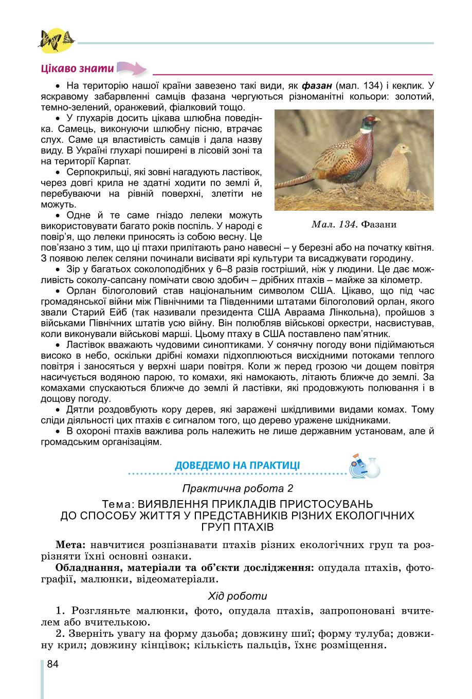 Мініатюра 84