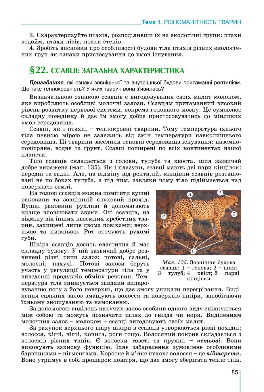 Мініатюра 85