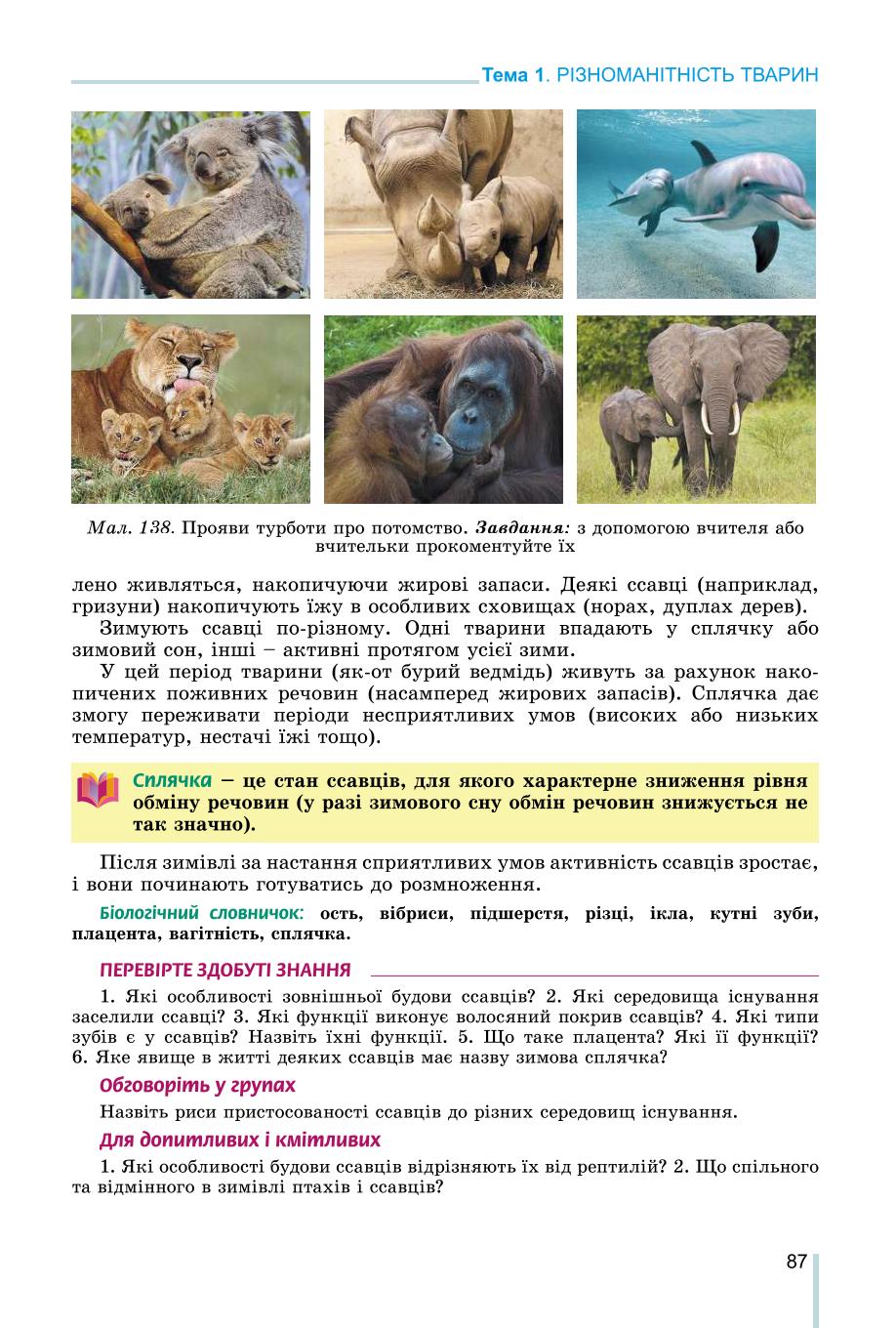 Мініатюра 87