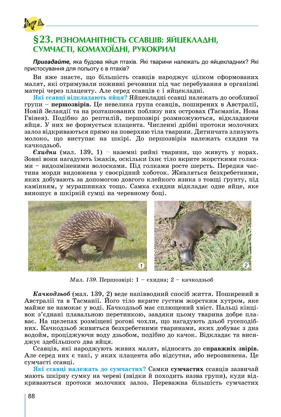 Мініатюра 88