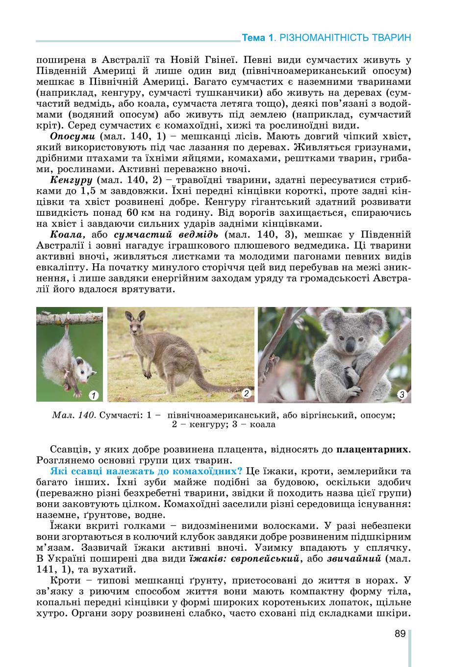 Мініатюра 89