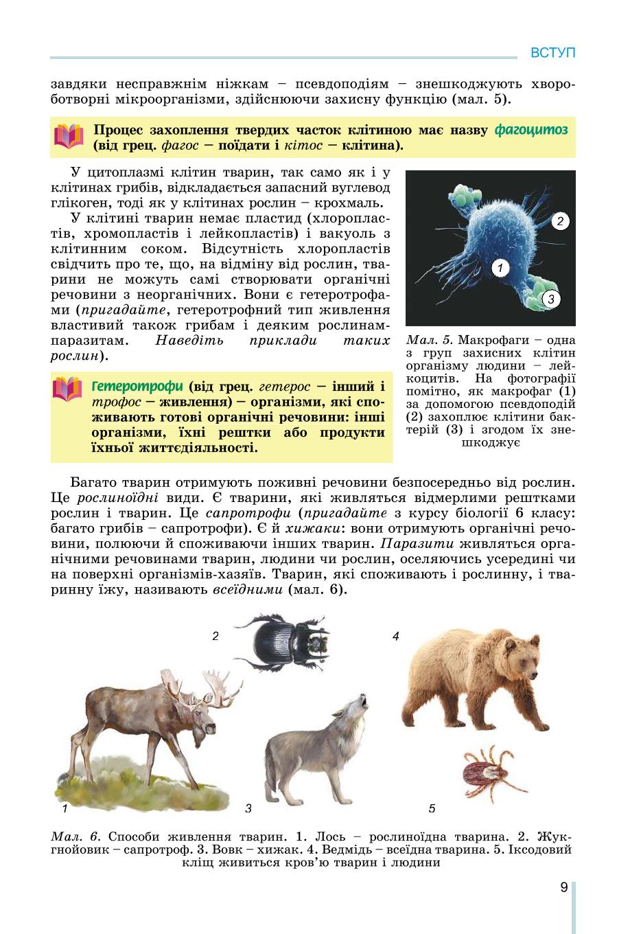 Мініатюра 9
