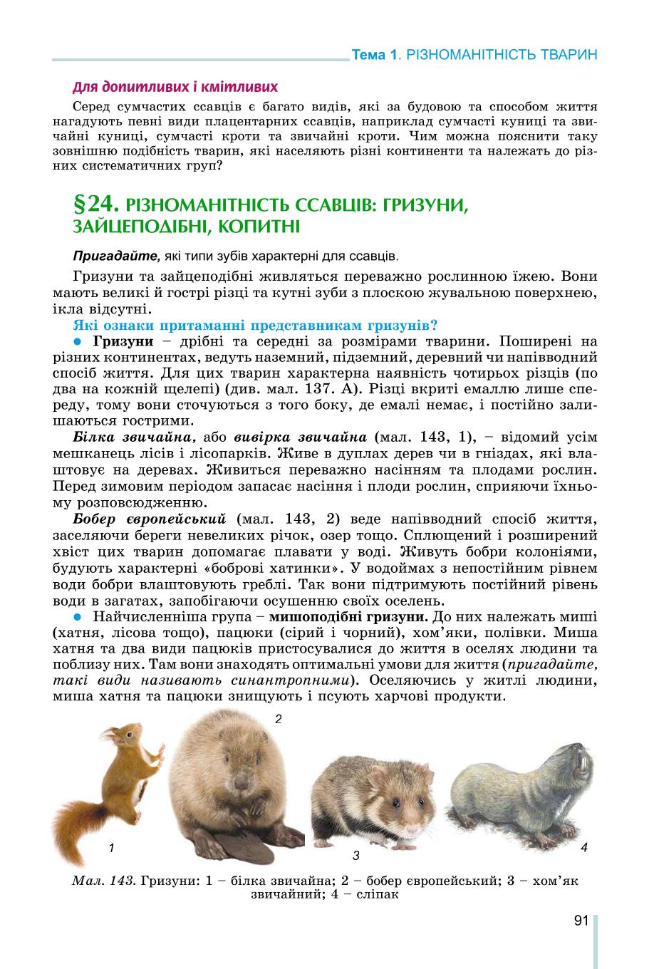 Мініатюра 91