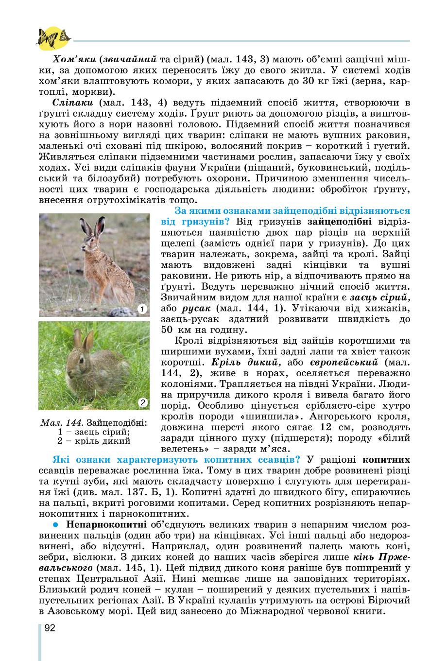 Мініатюра 92