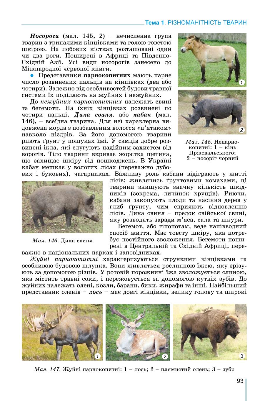 Мініатюра 93