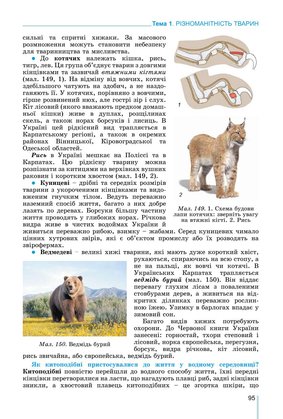 Мініатюра 95