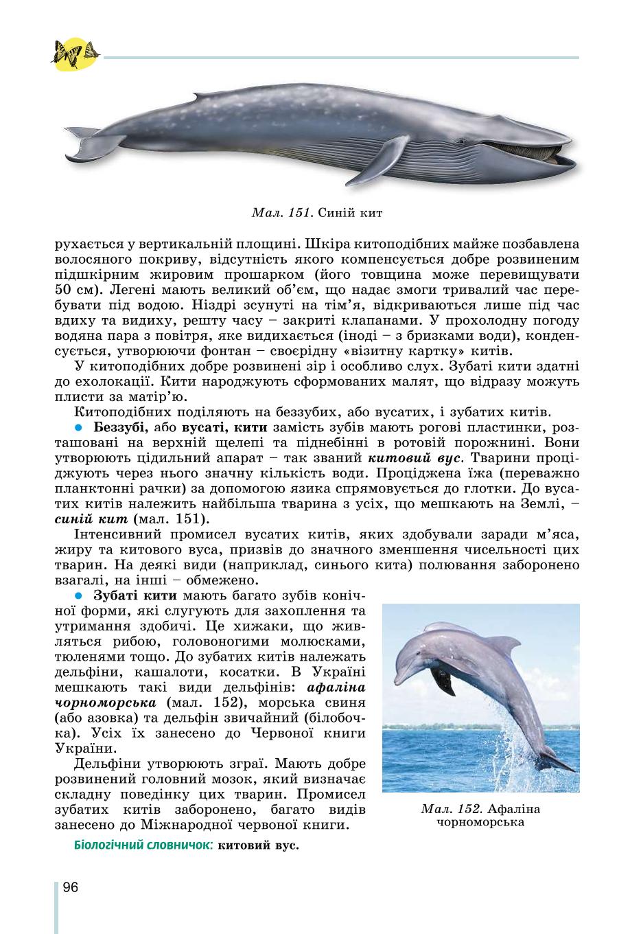 Мініатюра 96