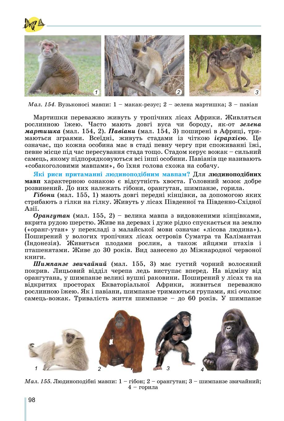 Мініатюра 98