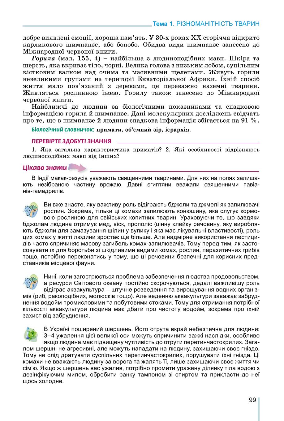 Мініатюра 99