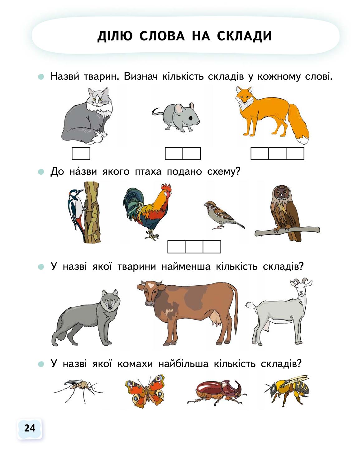 Мініатюра 24